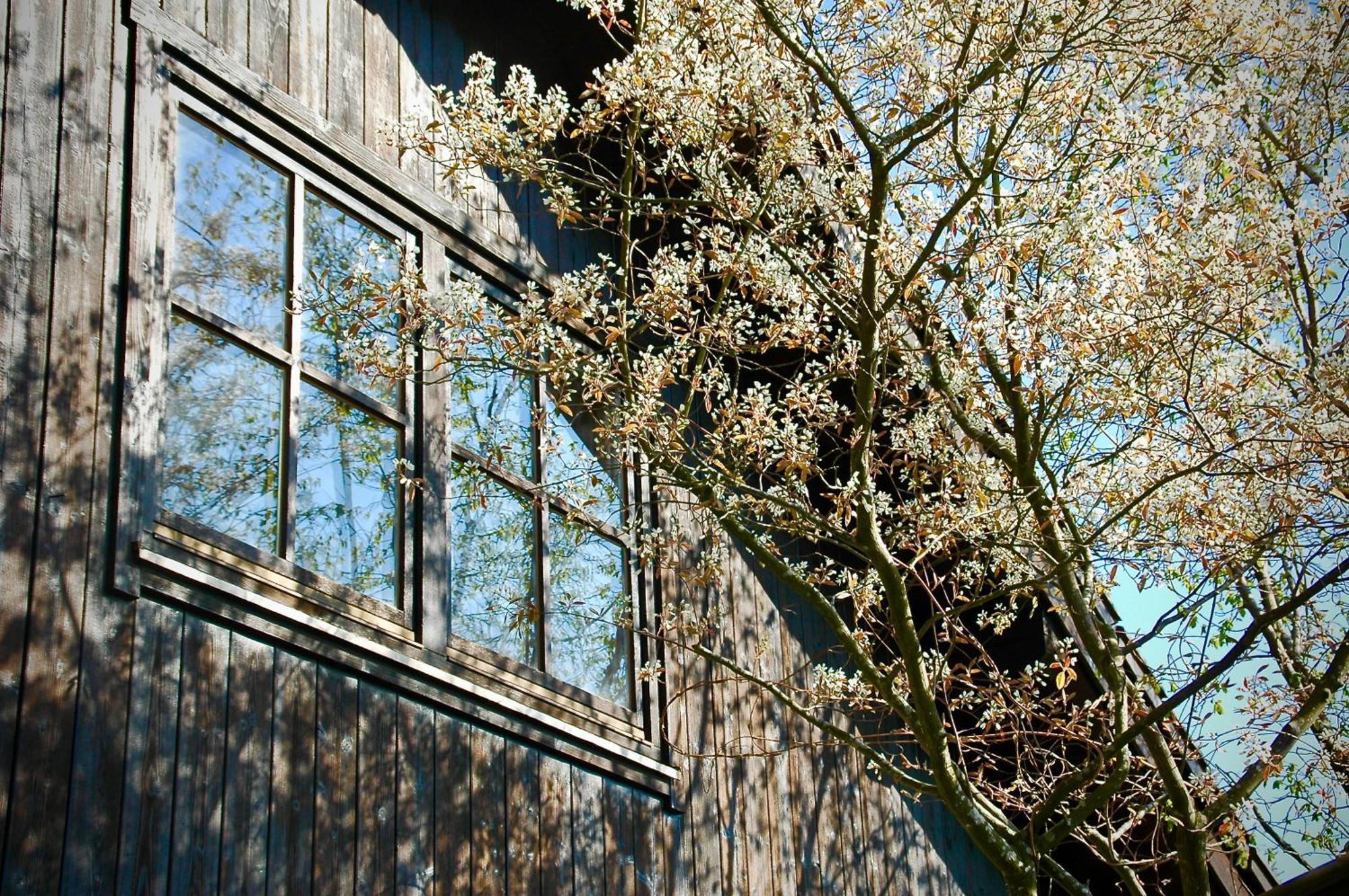 Charmante Ferienwohnung Mit Balkon Im 5-Seen-Land Hechendorf am Pilsensee Dış mekan fotoğraf